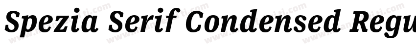 Spezia Serif Condensed Regular D字体转换